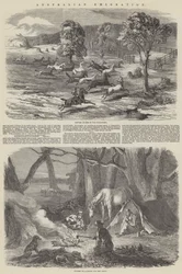 Australische Emigratie